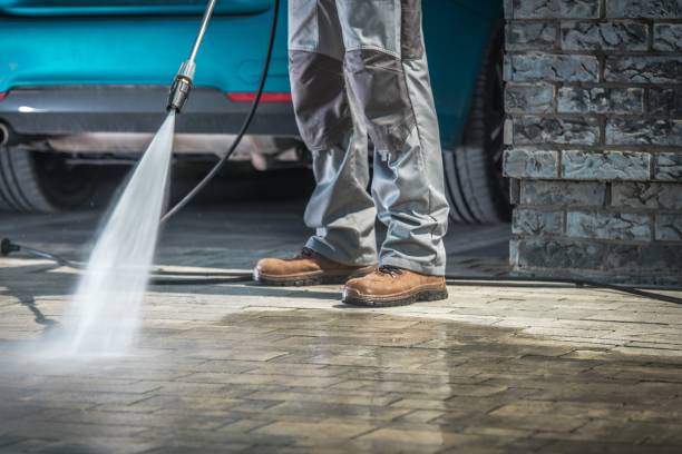 Best Winterizing Services  in Ashford, AL